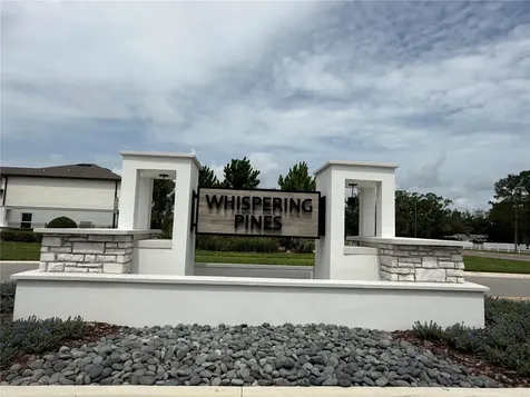 3595 Ivy Springs Lane Land O Lakes FL 34638