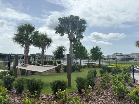 3595 Ivy Springs Lane Land O Lakes FL 34638