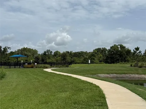 3595 Ivy Springs Lane Land O Lakes FL 34638