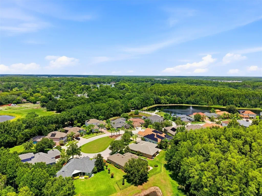 14828 Man O War Drive Odessa FL 33556