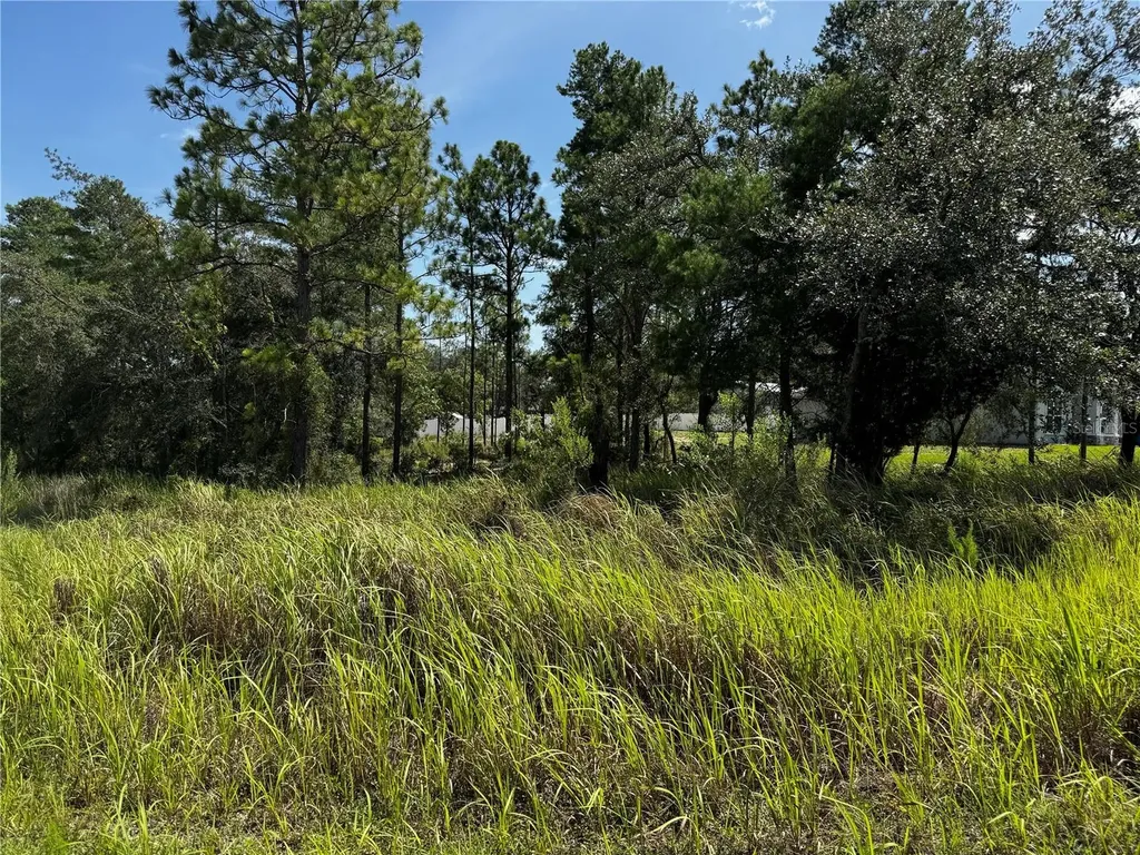 Lot 14 Barnevelde Road Weeki Wachee FL 34614