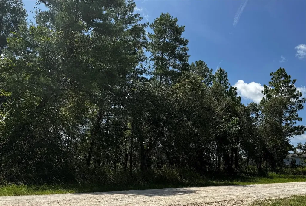 Lot 14 Barnevelde Road Weeki Wachee FL 34614