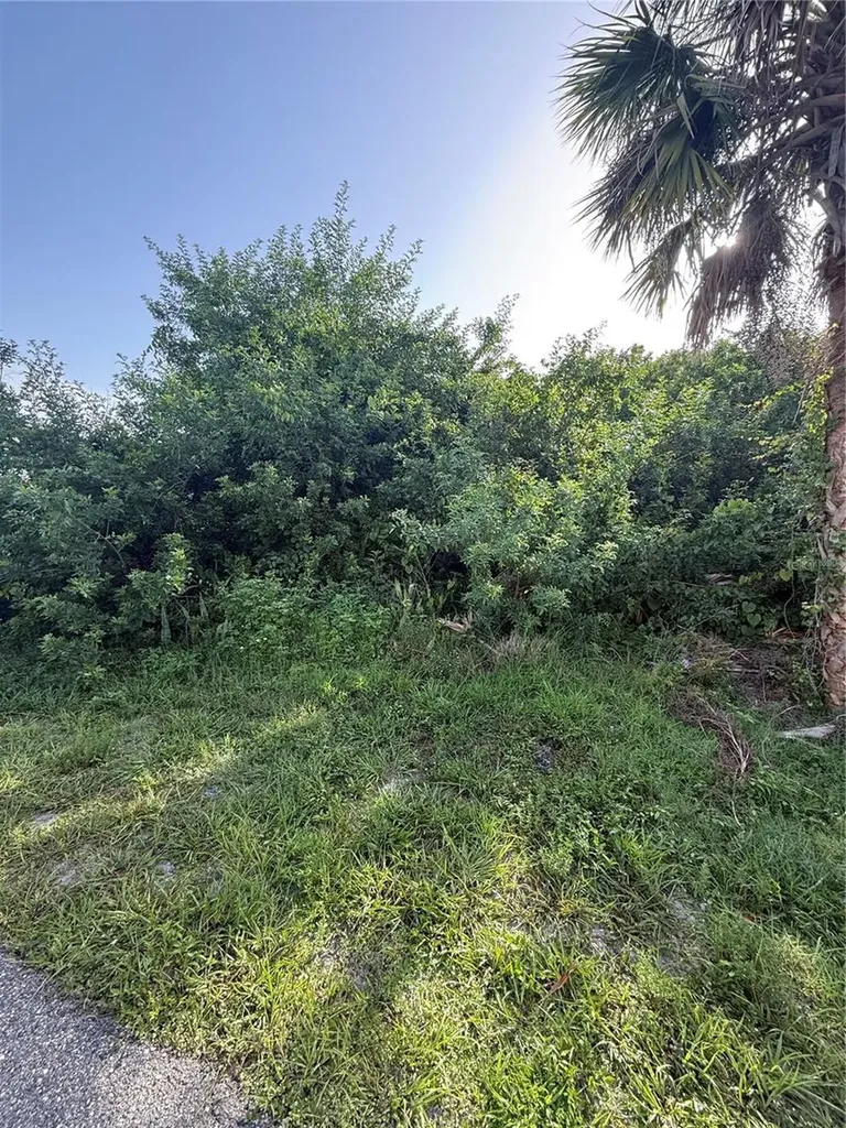 2071 Carpetgreen Street Port Charlotte FL 33948