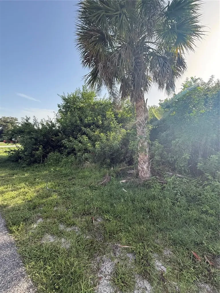 2071 Carpetgreen Street Port Charlotte FL 33948