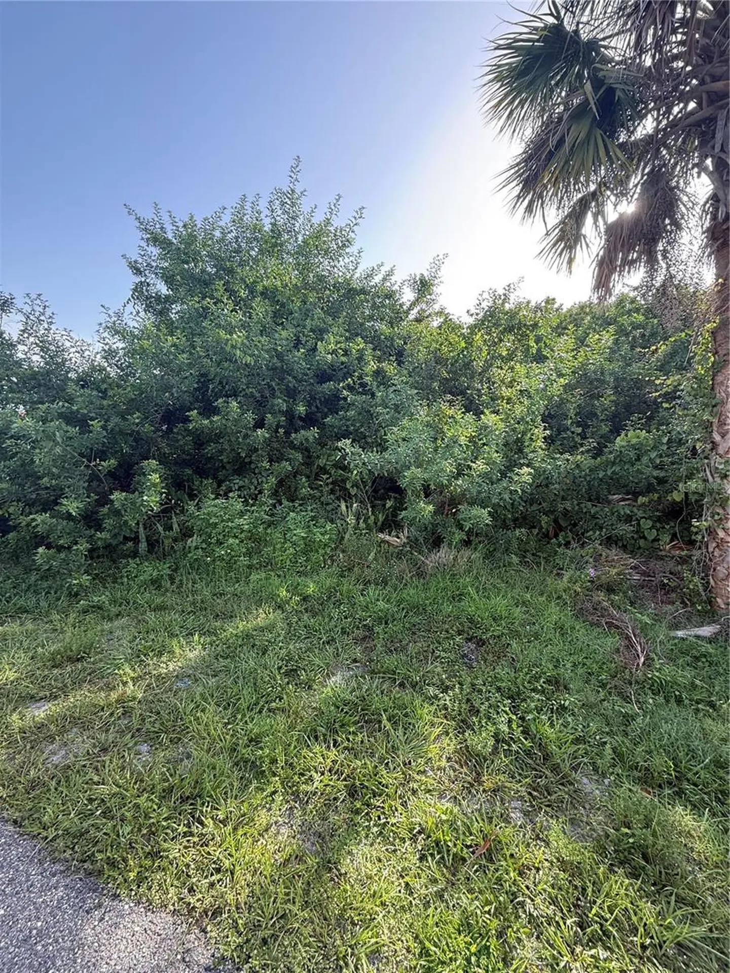 2071 Carpetgreen Street Port Charlotte FL 33948