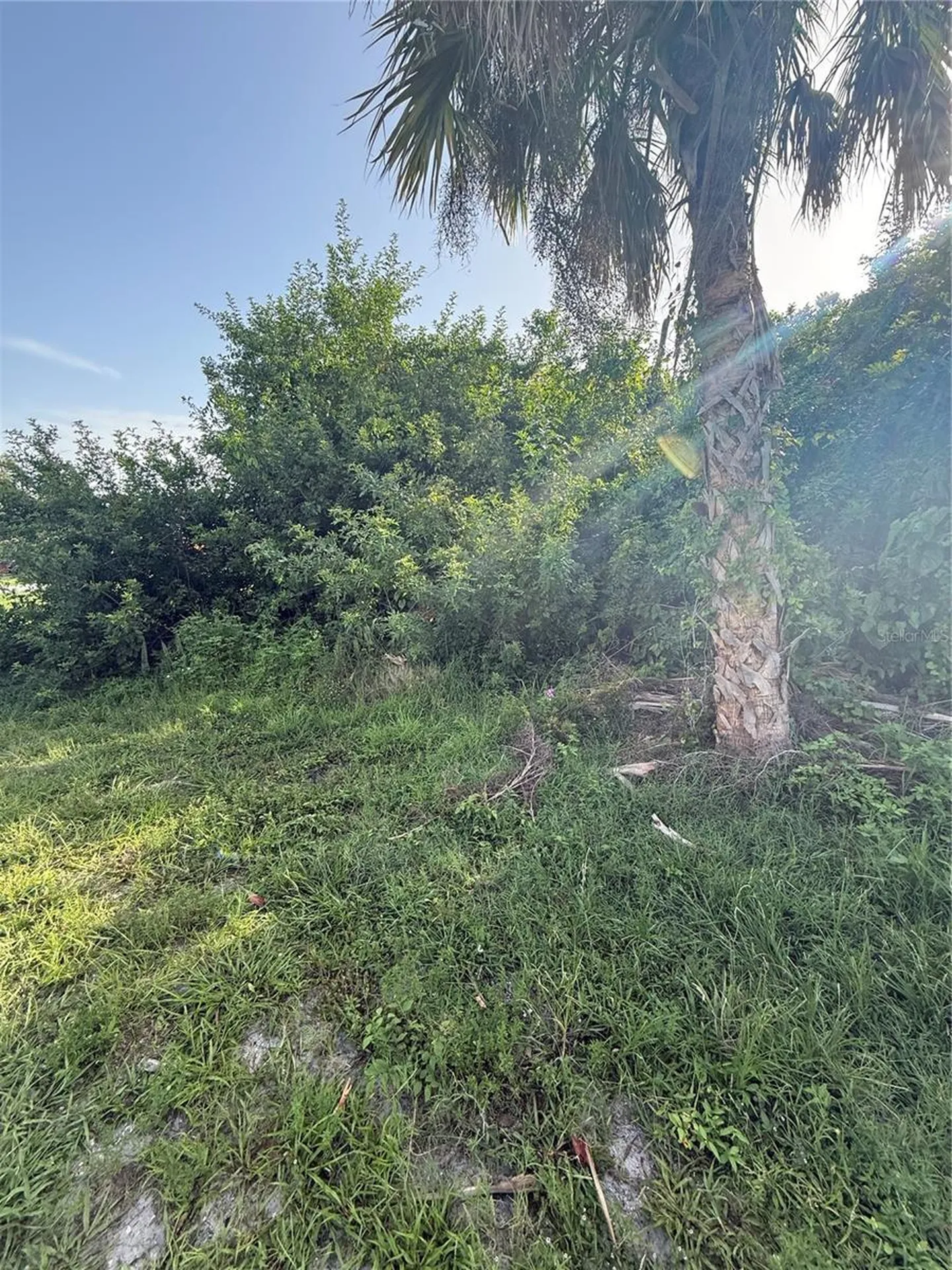 2071 Carpetgreen Street Port Charlotte FL 33948