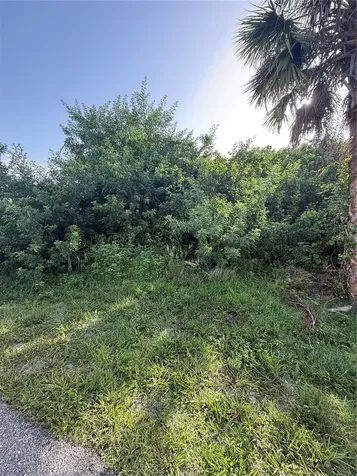 2071 Carpetgreen Street Port Charlotte FL 33948