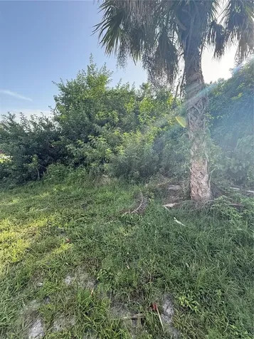 2071 Carpetgreen Street Port Charlotte FL 33948