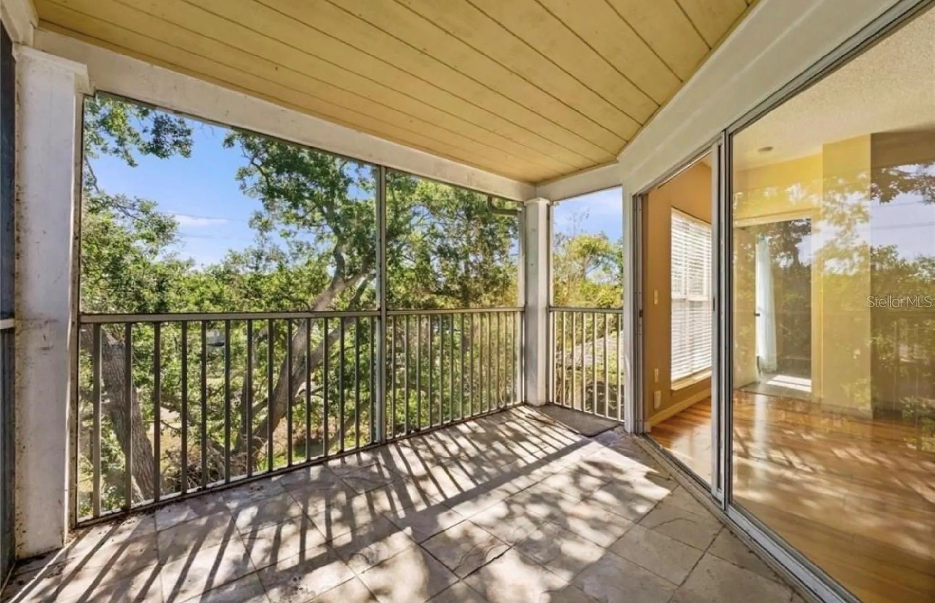 4107 Chatham Oak Court Tampa FL 33624
