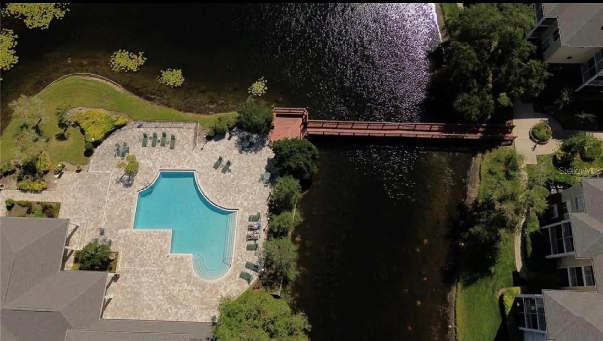 4107 Chatham Oak Court Tampa FL 33624