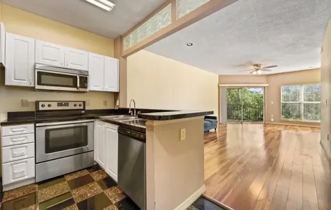 4107 Chatham Oak Court Tampa FL 33624