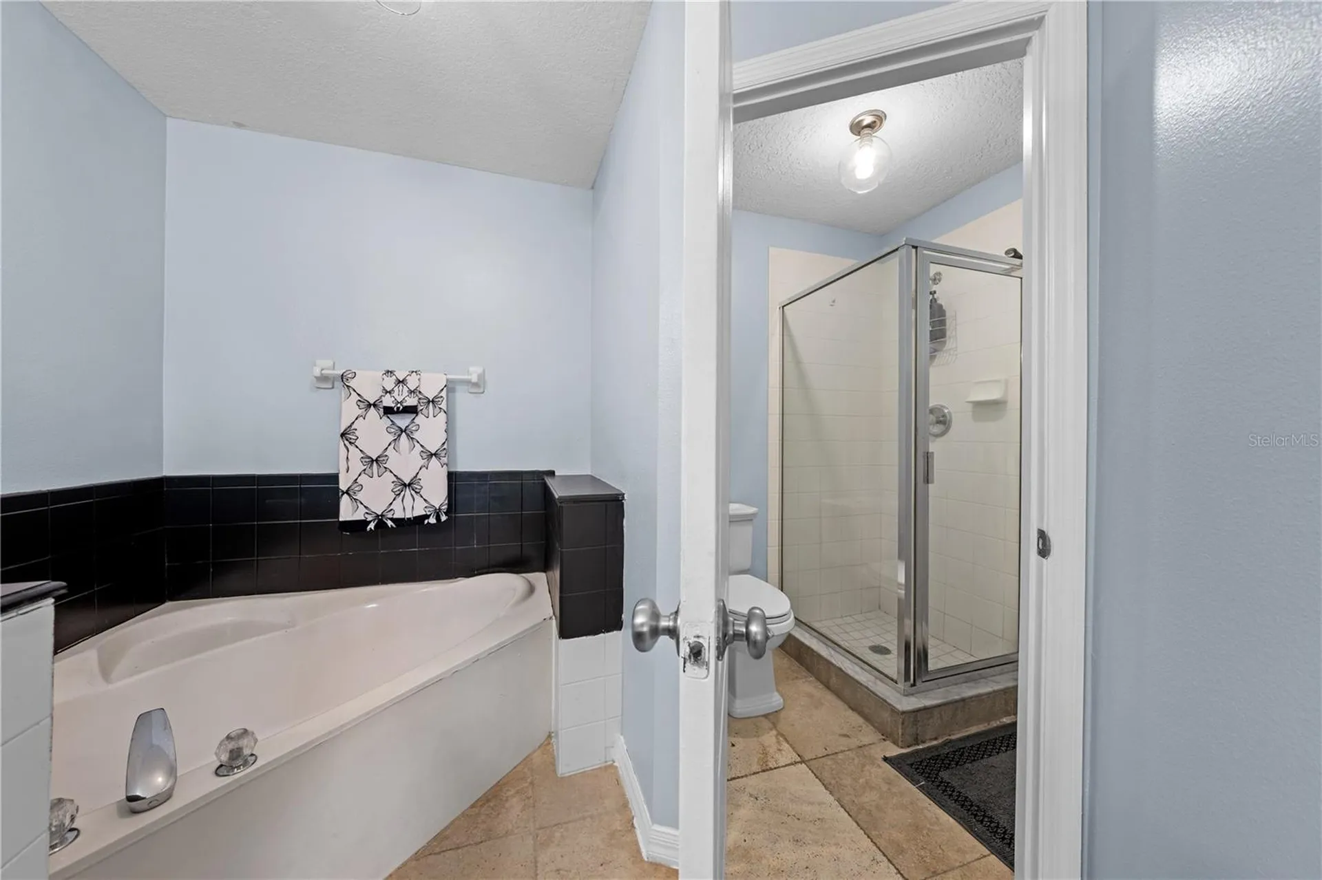 2705 Emerald Lake Court Kissimmee FL 34744