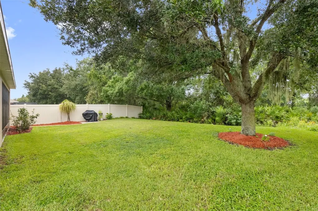 11238 Wembley Landing Drive Lithia FL 33547
