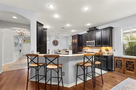 11238 Wembley Landing Drive Lithia FL 33547
