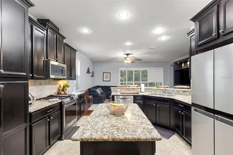 11238 Wembley Landing Drive Lithia FL 33547