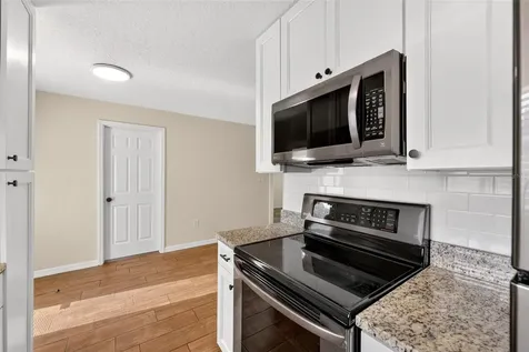 1125 N Tremain Street Mount Dora FL 32757