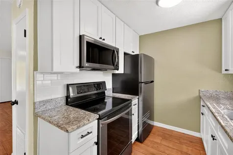 1125 N Tremain Street Mount Dora FL 32757