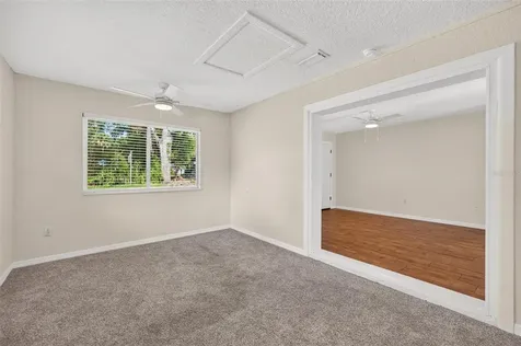 1125 N Tremain Street Mount Dora FL 32757
