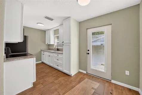 1125 N Tremain Street Mount Dora FL 32757
