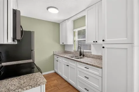 1125 N Tremain Street Mount Dora FL 32757