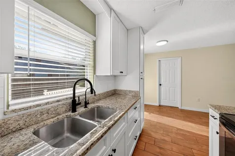 1125 N Tremain Street Mount Dora FL 32757