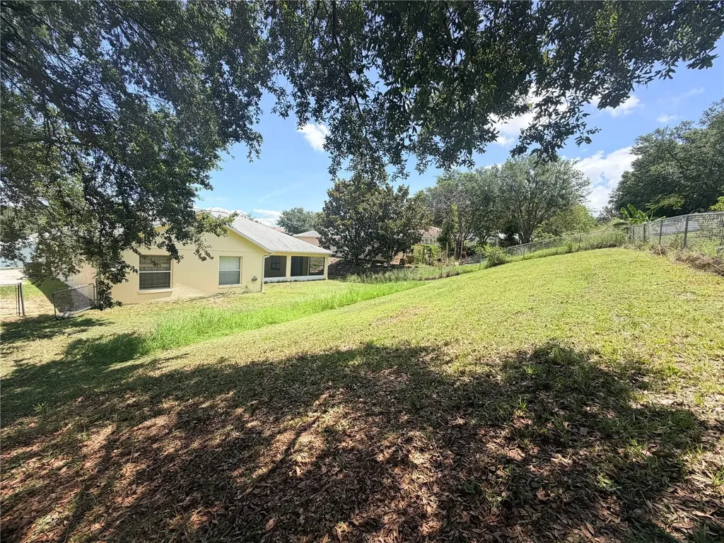 1011 Scenic View Circle Minneola FL 34715