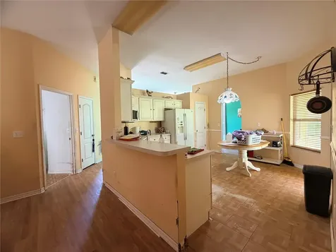 1011 Scenic View Circle Minneola FL 34715