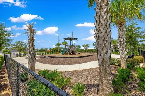 3133 Hill Point Street Minneola FL 34715