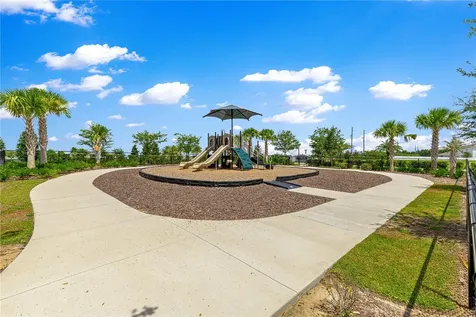 3133 Hill Point Street Minneola FL 34715