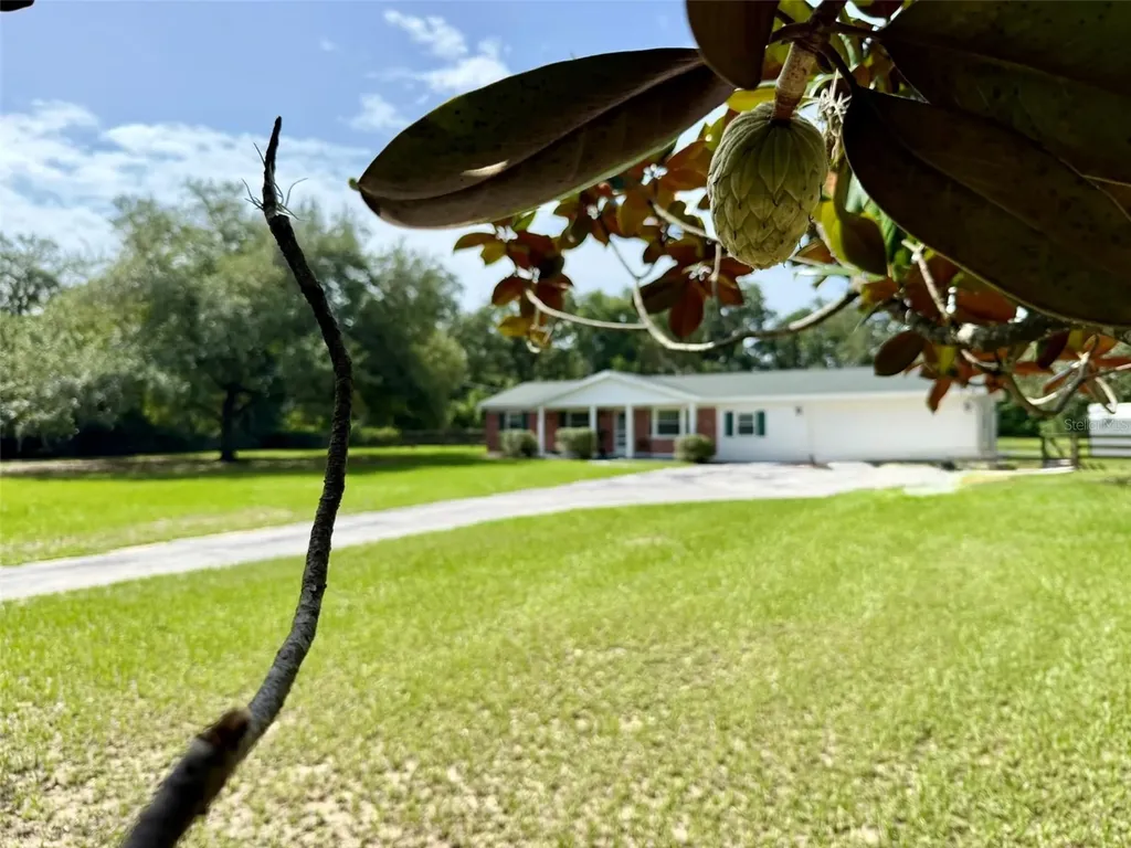 11215 Russell Drive Seffner FL 33584
