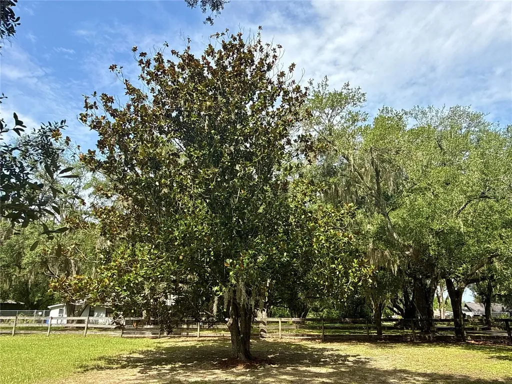 11215 Russell Drive Seffner FL 33584