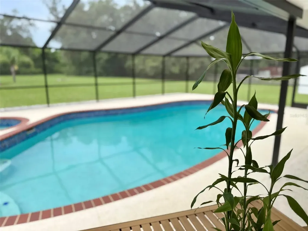 11215 Russell Drive Seffner FL 33584