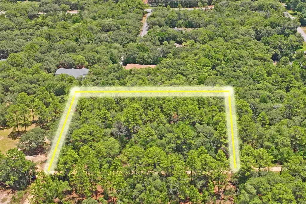 3537 N Jeremy Avenue Hernando FL 34442