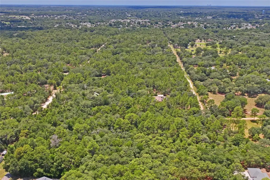 3537 N Jeremy Avenue Hernando FL 34442