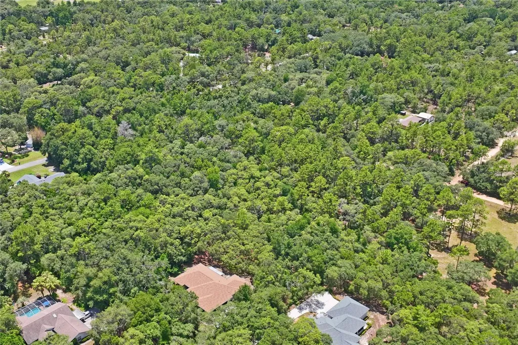 3537 N Jeremy Avenue Hernando FL 34442