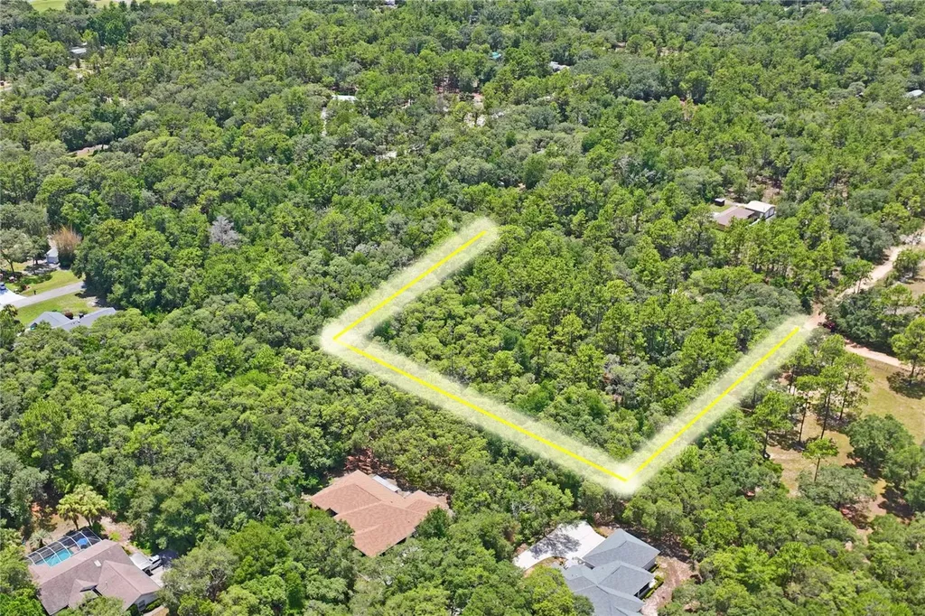 3537 N Jeremy Avenue Hernando FL 34442