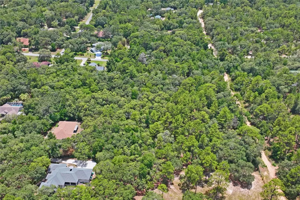 3537 N Jeremy Avenue Hernando FL 34442