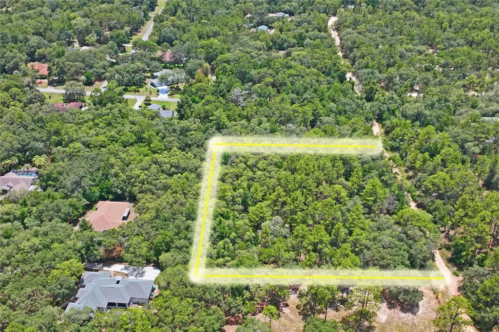 3537 N Jeremy Avenue Hernando FL 34442