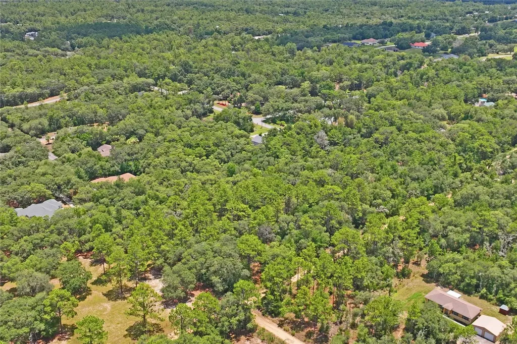 3537 N Jeremy Avenue Hernando FL 34442