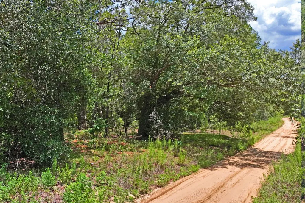 3537 N Jeremy Avenue Hernando FL 34442