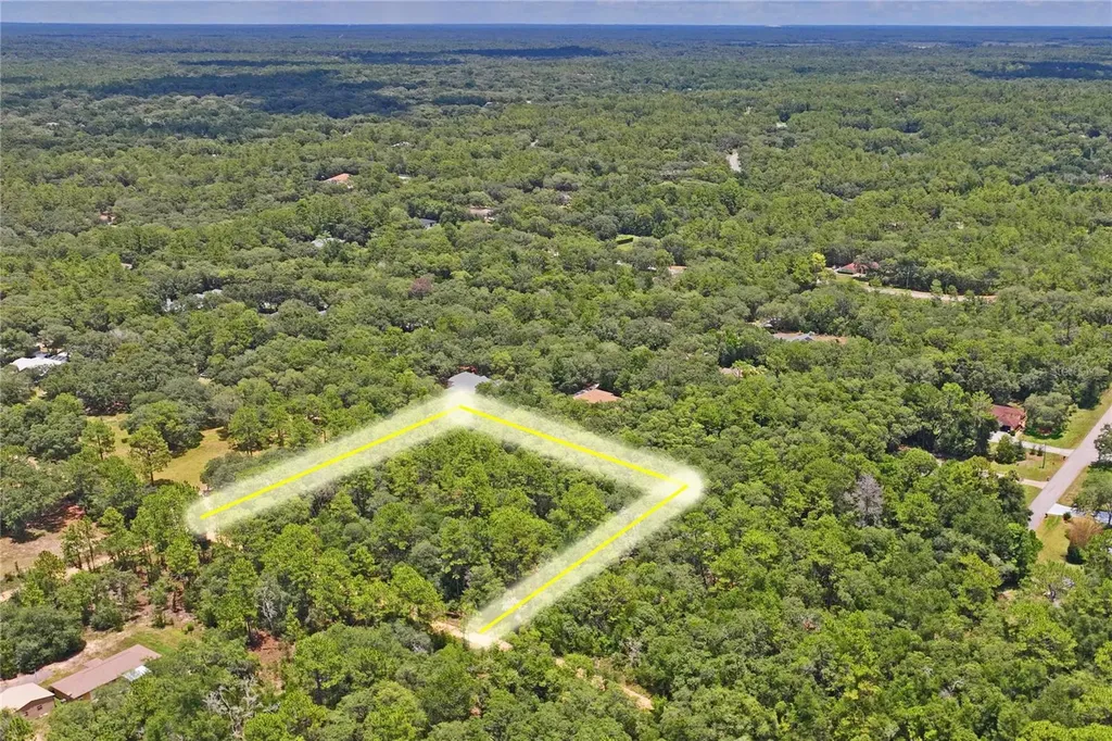 3537 N Jeremy Avenue Hernando FL 34442