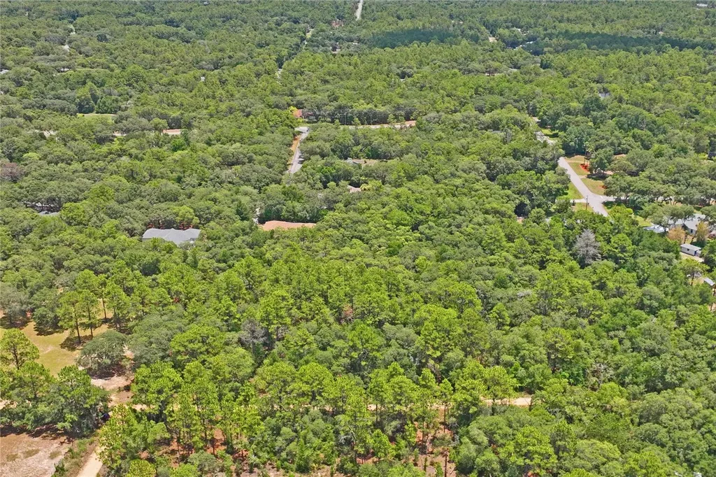 3537 N Jeremy Avenue Hernando FL 34442