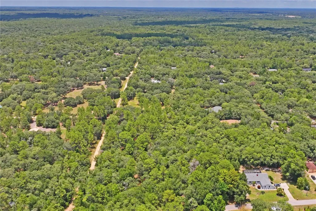3537 N Jeremy Avenue Hernando FL 34442