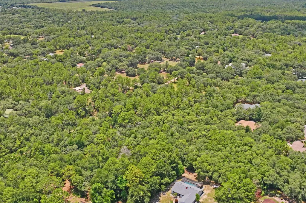 3537 N Jeremy Avenue Hernando FL 34442