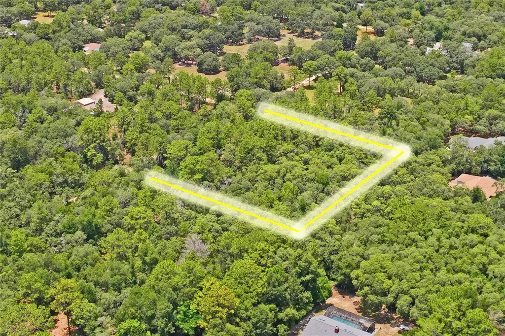 3537 N Jeremy Avenue Hernando FL 34442