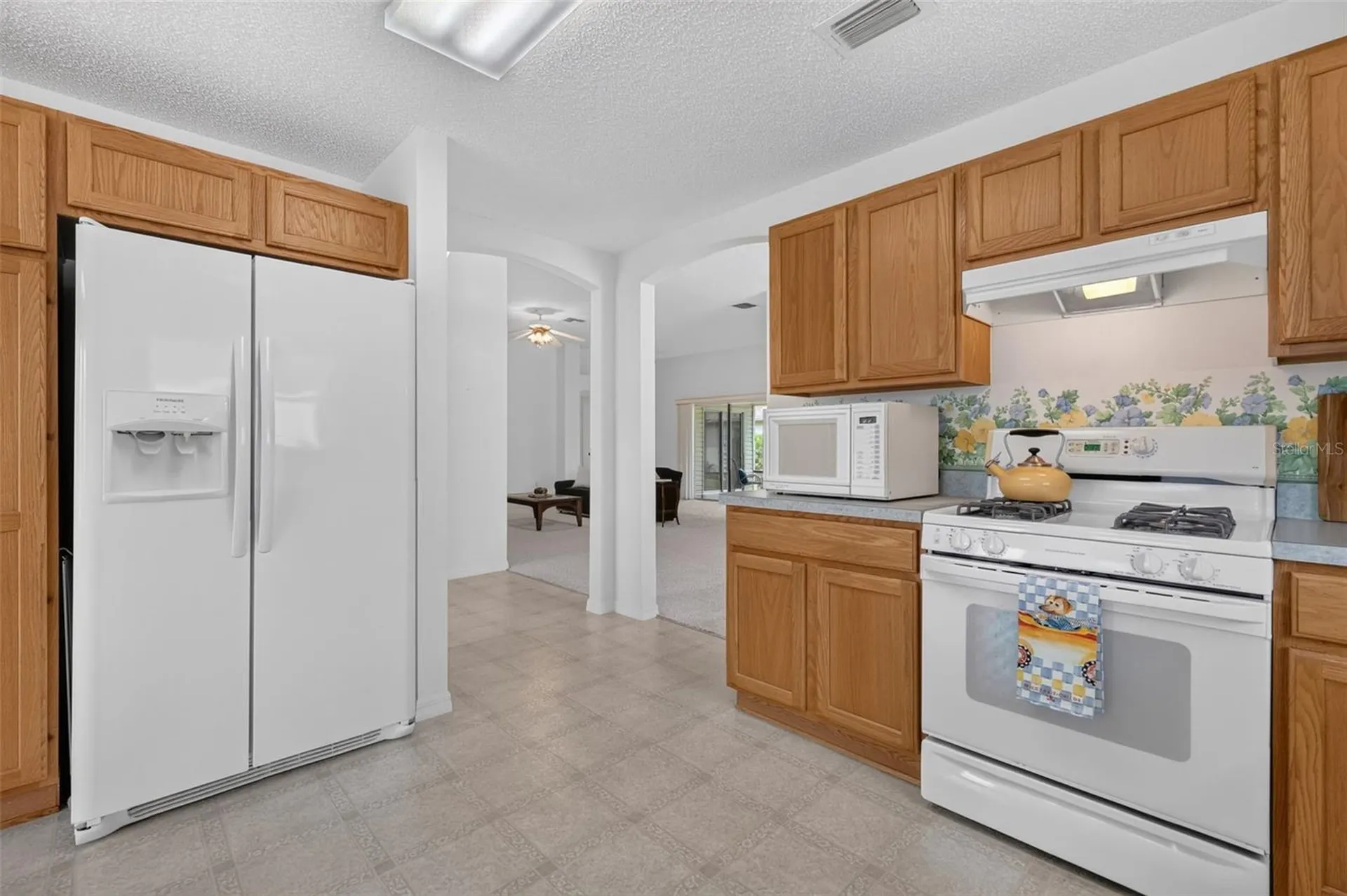 1276 Weaton Court The Villages FL 32162