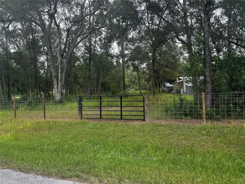 719 S Arlene Avenue Inverness FL 34453