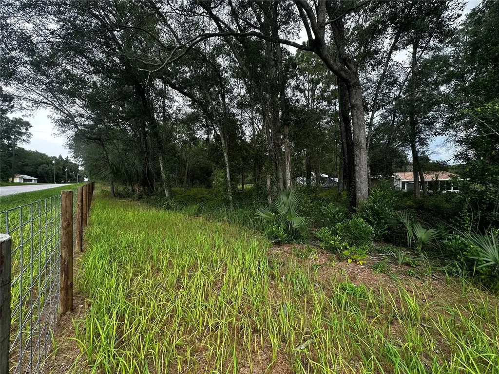 719 S Arlene Avenue Inverness FL 34453