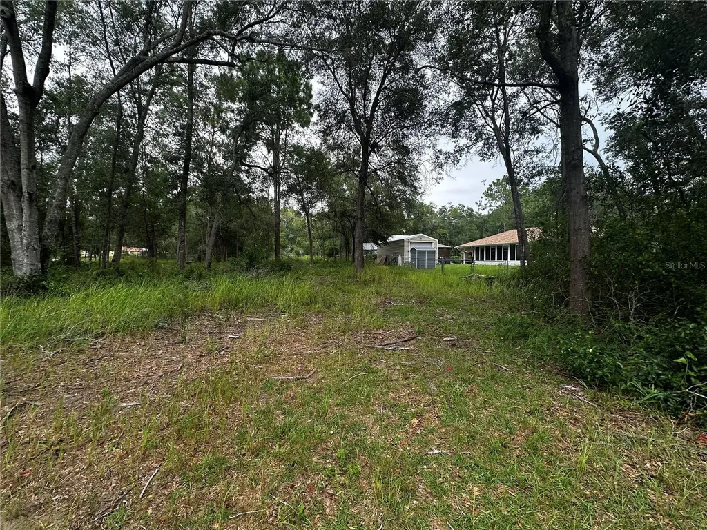 719 S Arlene Avenue Inverness FL 34453