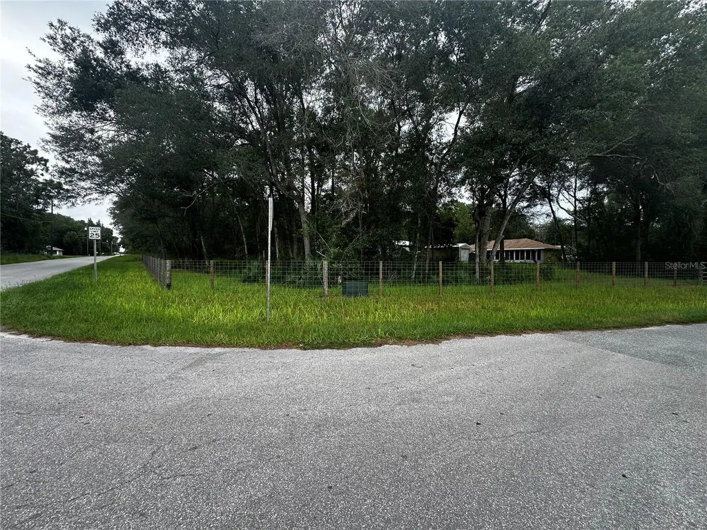 719 S Arlene Avenue Inverness FL 34453